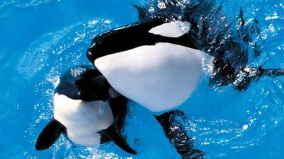 Taku(left) and Katina