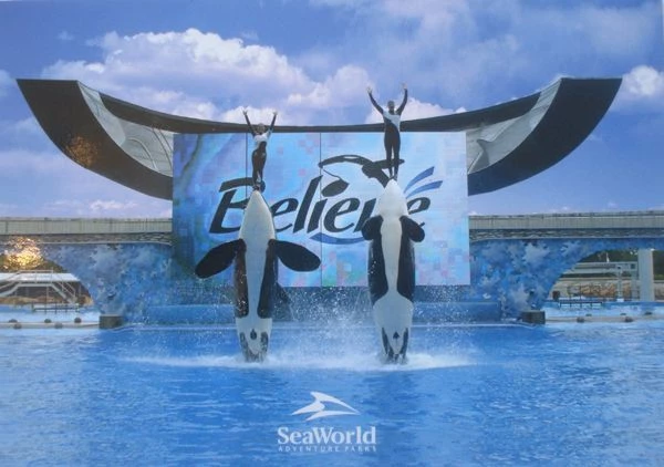 Taku(left) and Katina