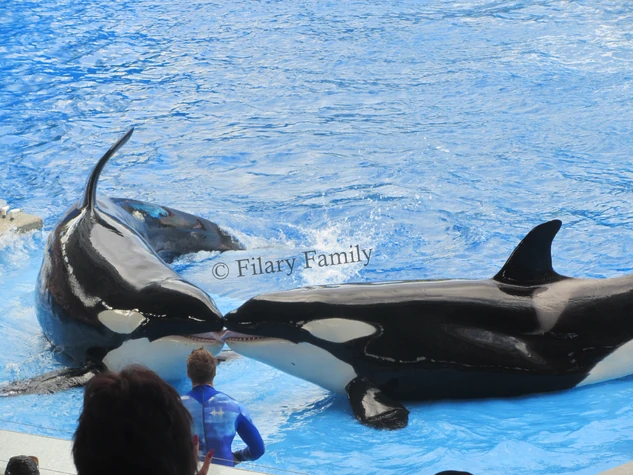 Kayla and Trua (DO NOT USE)