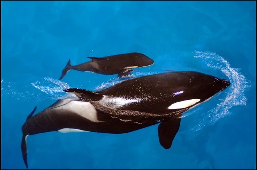 Takara and young Trua