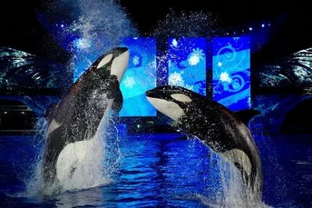 Katina (left) and her daughter Nalani. Photo by SeaWorld.