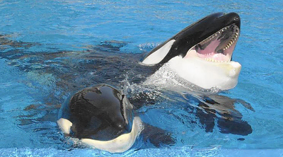 Young Ikaika and Katina