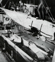 Katina's Capture. Photo via an Icelandic News Article