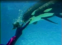 Katerina (front) and Katina