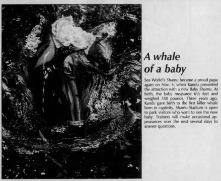 Katina and newborn Katerina