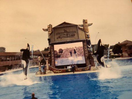 Kasatka takara
