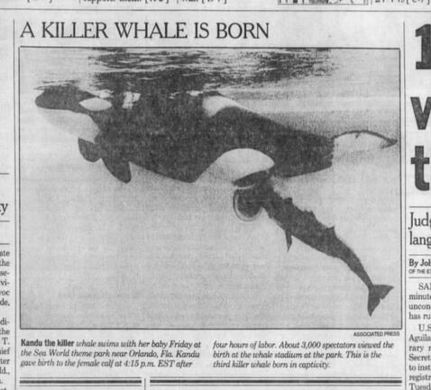 Katina giving birth to Katerina