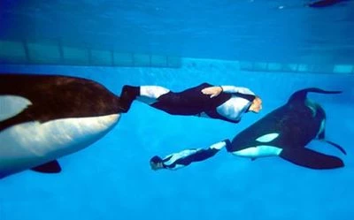 Katina(left) and Taku