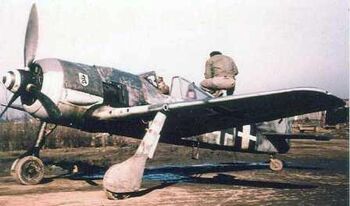 Focke Wulf Fw 190 being examined by USAAF