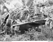 As it was found. Japanese prisoners with Ki-43 Oscar 750 hidden four miles from Vunakanau Airfield Credit: RNZAF Collection via AWM P00001.340 Date: September 1945