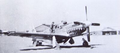 P-51 Evalina in Japan