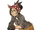 StellaSugiNontransparent.png