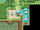 Route 11