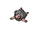 Tiny turtle.png