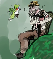 First colours of Mangrove's design