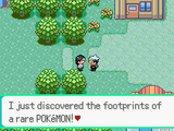 Footprints