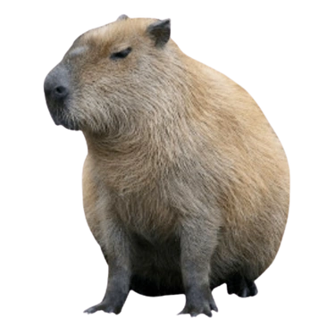 Chicken Feet | Capybara Garden ccthecollege Wiki | Fandom