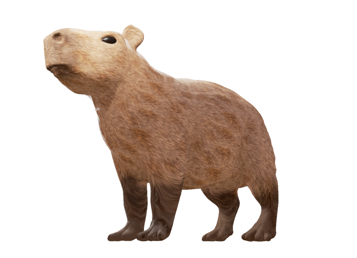 Personagem de focinho Carnivora, capivara, mamífero, rosto, carnívoro png