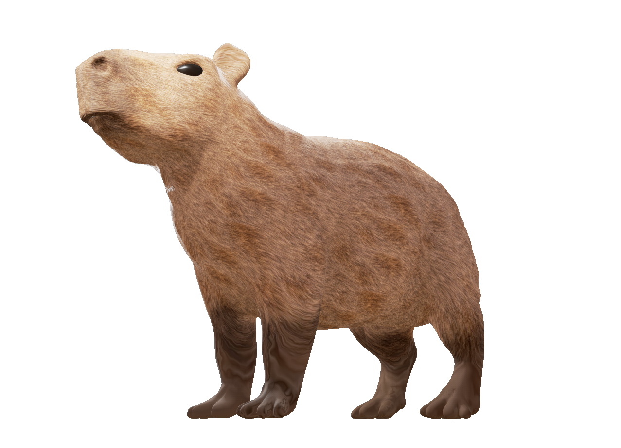 Capivara png