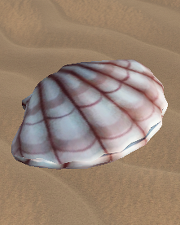 The Seashell Car Crushers 2 Wiki Fandom - roblox car crushers 2 the seashell