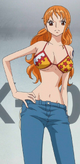 Nami timeskip