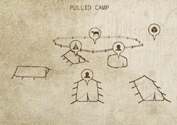 PullidCamp