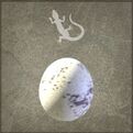 Lizard Egg