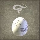 Snake Egg