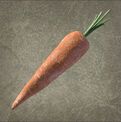 Carrots