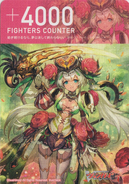 Fighter's Counter