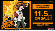 VG-D-TTD04 Shaman King(JP) VGE-D-TTD03 Shaman King(EN) (SHAMAN KING)