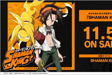 Great Onmyoji, Hao | Cardfight!! Vanguard Wiki | Fandom 大陰陽師