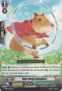 BT07/057EN (C) Hula Hoop Capybara