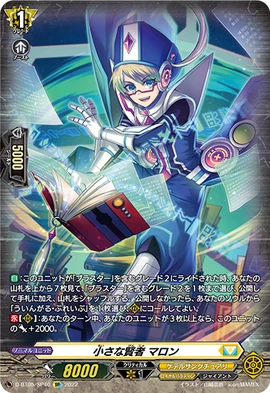 marron　0915♡ Ohio Mulch Absolute Brown Mulch (1cf) #9982