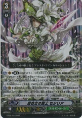 White Lily Musketeer, Cecilia