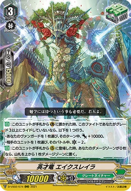 D-VS02-074-RRR (Sample)