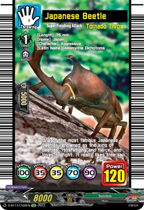 D-BT13-EX09EN-EX (Sample)