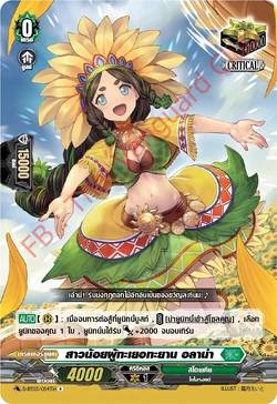 メイプルストーリー　オダイバアイランド　カード メイプルストーリー オダイバアイランド カード メイプルストーリー オ