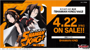 VG-D-TB04: SHAMAN KING Vol.2 (SHAMAN KING)