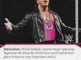 Bret "Hit Man" Hart - The Hit Man (BRTP)