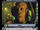 Tuvok - Mostly Assimilated (UN)
