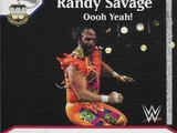 "Macho Man" Randy Savage - Oooh Yeah! (WCB)