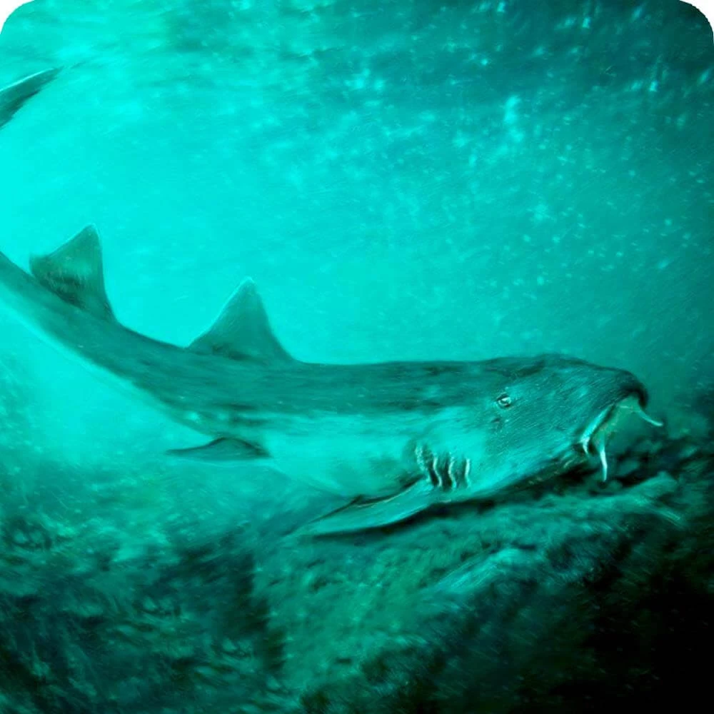 Galagadon Cards, the Universe and Everything Wiki Fandom