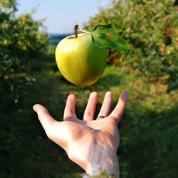 Gravity | Cards, the Universe and Everything Wiki | Fandom