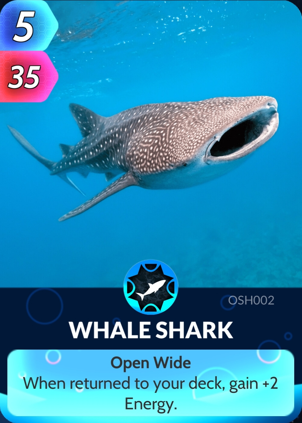 Whale Shark | Cards, the Universe and Everything Wiki | Fandom