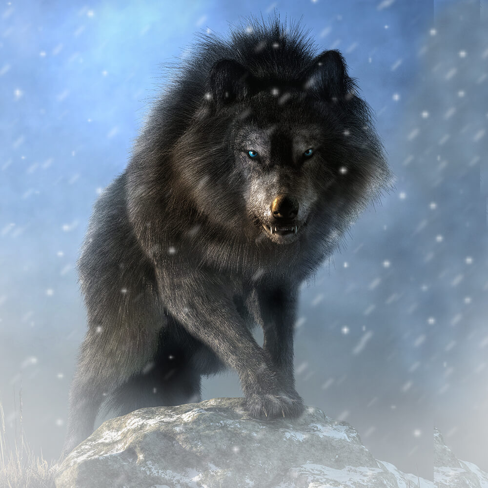 Dire Wolf | Cards, the Universe and Everything Wiki | Fandom