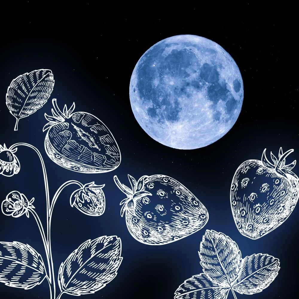 IU  strawberry moon  トレカ IU strawberry moon トレカ