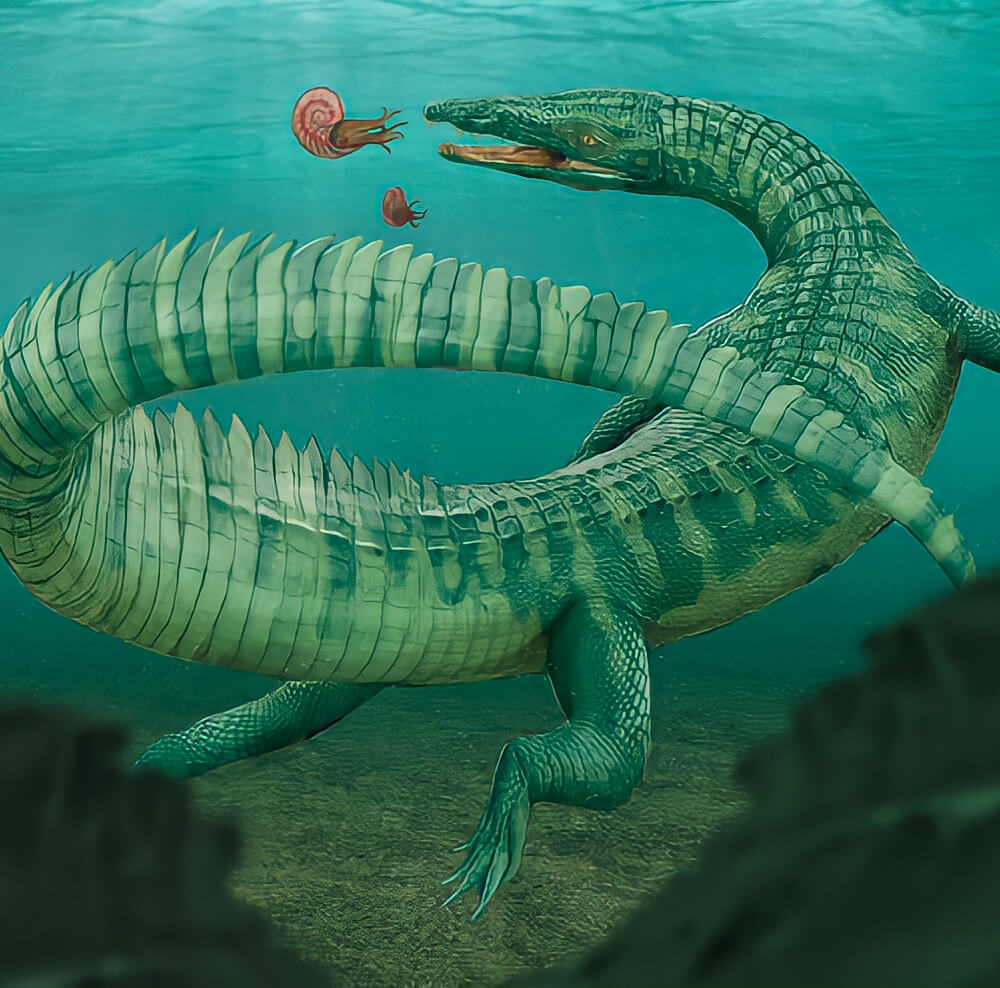 Litorosuchus | Cards, the Universe and Everything Wiki | Fandom