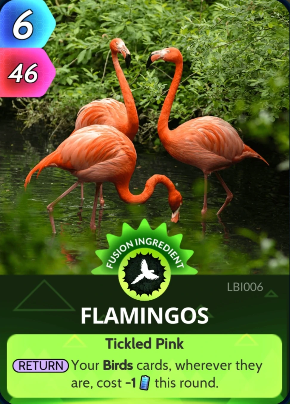 Flamingos Cards, the Universe and Everything Wiki Fandom