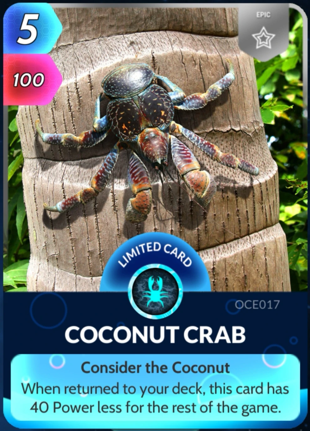 Coconut Crab Cards, the Universe and Everything Wiki Fandom